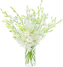 Cargar imagen en el visor de la galería, White Orchid Bouquet with Vase – 10 Fresh Stems