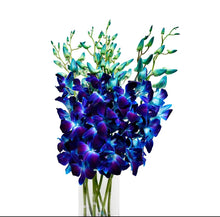 Cargar imagen en el visor de la galería, Blue Fresh Orchid Bouquet with Vase – 10 Stems from Thailand - theflowerscreations