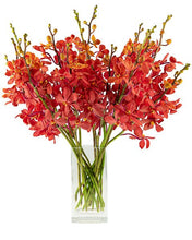 Cargar imagen en el visor de la galería, Red Mokara Orchids – 10 Fresh Stems | Bold & Long-Lasting Blooms - theflowerscreations