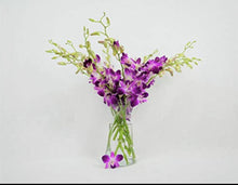 Cargar imagen en el visor de la galería, Thailand Orchid Bouquet with Vase – 10 Stems - theflowerscreations