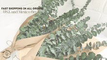 Cargar imagen en el visor de la galería, 2 Fresh Eucalyptus Bundles – Shower Aromatherapy & Home Decor - theflowerscreations