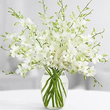 Cargar imagen en el visor de la galería, White Orchid Bouquet with Vase – 10 Fresh Stems - theflowerscreations