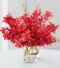 Cargar imagen en el visor de la galería, Red Mokara Orchids – 10 Fresh Stems | Bold & Long-Lasting Blooms - theflowerscreations