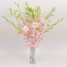 Cargar imagen en el visor de la galería, Light Pink Orchid Bouquet with Vase – 10 Fresh Thai Stems - theflowerscreations
