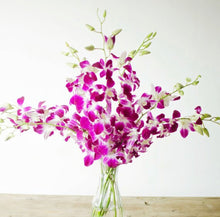 Cargar imagen en el visor de la galería, Thailand Orchid Bouquet with Vase – 10 Stems - theflowerscreations
