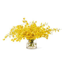 Cargar imagen en el visor de la galería, Yellow Oncidium Orchids – 10 Fresh Cut Stems - theflowerscreations