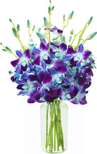 Cargar imagen en el visor de la galería, Blue Fresh Orchid Bouquet with Vase – 10 Stems from Thailand - theflowerscreations