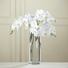 Cargar imagen en el visor de la galería, White Phalaenopsis Orchid Box – 12 Fresh Cut Stems - theflowerscreations
