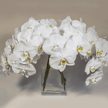 Cargar imagen en el visor de la galería, White Phalaenopsis Orchid Box – 12 Fresh Cut Stems - theflowerscreations