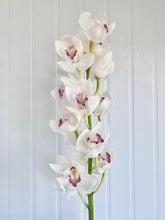 Cargar imagen en el visor de la galería, White & Pink Cymbidium Orchid – Fresh Cut Stems from Netherlands - theflowerscreations