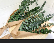 Cargar imagen en el visor de la galería, Fresh Eucalyptus Bundle for Shower & Home Decor