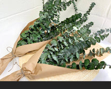 Cargar imagen en el visor de la galería, Fresh Eucalyptus Bundle for Shower & Home Decor - theflowerscreations
