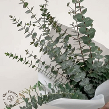 Cargar imagen en el visor de la galería, 2 Fresh Eucalyptus Bundles – Shower Aromatherapy & Home Decor