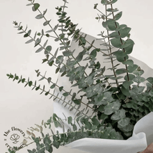 Cargar imagen en el visor de la galería, Fresh Eucalyptus Bundle for Shower & Home Decor - theflowerscreations