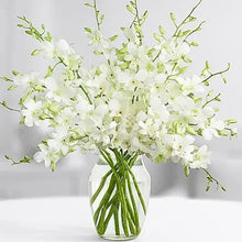 Cargar imagen en el visor de la galería, White Orchid Bouquet with Vase – 10 Fresh Stems
