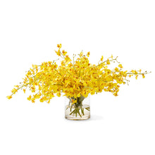 Cargar imagen en el visor de la galería, Yellow Oncidium Orchids – 10 Fresh Cut Stems
